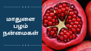 மாதுளை பழம் நன்மைகள்