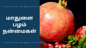 மாதுளை பழம் நன்மைகள்