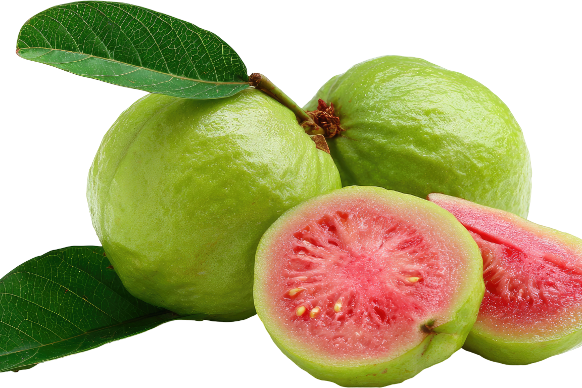 கொய்யா பழத்தின் நன்மைகள் | Guava Benefits in Tamil