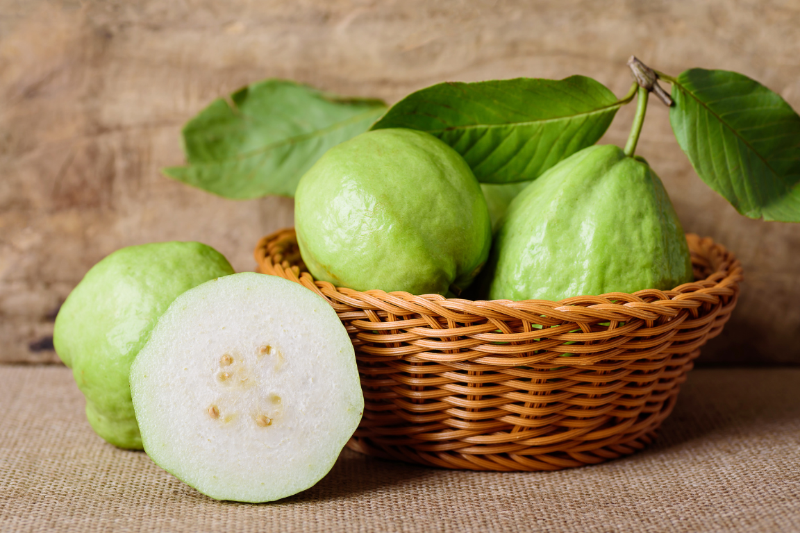 கொய்யா பழத்தின் நன்மைகள் | Guava Benefits in Tamil