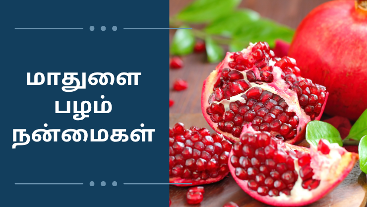 மாதுளை பழம் நன்மைகள்
