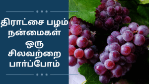 திராட்சை பழம் நன்மைகள் ஒரு சிலவற்றை பாா்ப்போம் / Benefits of Grapes