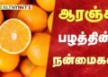 ஆரஞ்சு பழத்தின்‌ நன்மைகள் 