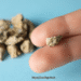 Kidney Stone 4mm Size