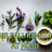 Hair Fall Remedies at Home