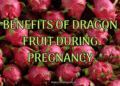 Benefits of Dragon Fruit During Pregnancy