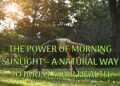 The Power of Morning Sunlight – A Natural Way to Boost Your Health