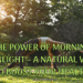 The Power of Morning Sunlight – A Natural Way to Boost Your Health