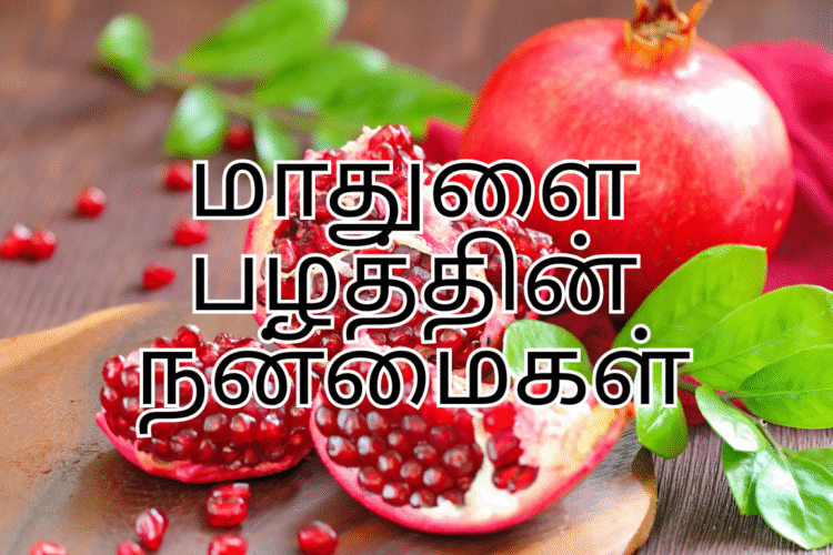 மாதுளை பழத்தின் நன்மைகள் – தினமும் சாப்பிட்டால் கிடைக்கும் அற்புத ஆரோக்கிய பலன்கள்