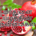 மாதுளை பழத்தின் நன்மைகள் – தினமும் சாப்பிட்டால் கிடைக்கும் அற்புத ஆரோக்கிய பலன்கள்