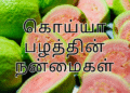 கொய்யா பழத்தின் நன்மைகள் | Guava Benefits in Tamil