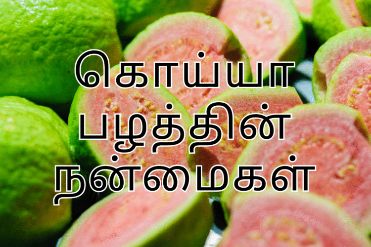 கொய்யா பழத்தின் நன்மைகள் | Guava Benefits in Tamil
