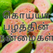 கொய்யா பழத்தின் நன்மைகள் | Guava Benefits in Tamil