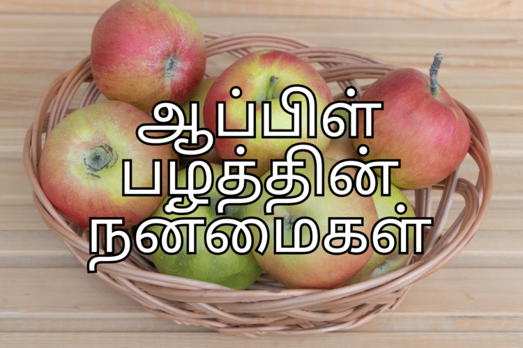 ஆப்பிள் பழத்தின் நன்மைகள் – தினமும் சாப்பிட்டால் கிடைக்கும் ஆரோக்கிய ரகசியங்கள் - Apple Benefits in Tamil