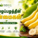 வாழைப்பழத்தின் நன்மைகள் | Banana Benefits in Tamil