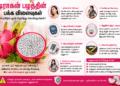 டிராகன் பழத்தின் பக்க விளைவுகள் என்னென்ன