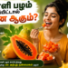 பப்பாளி பழம் சாப்பிட்டால் என்ன ஆகும்
